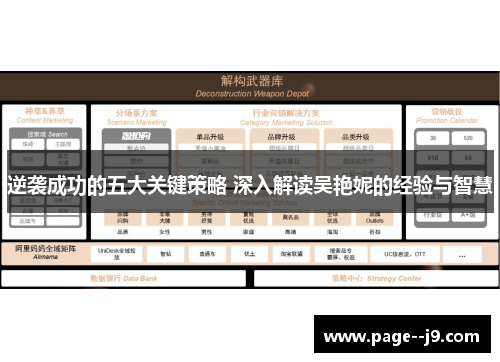 逆袭成功的五大关键策略 深入解读吴艳妮的经验与智慧