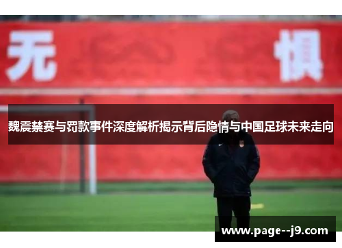 魏震禁赛与罚款事件深度解析揭示背后隐情与中国足球未来走向