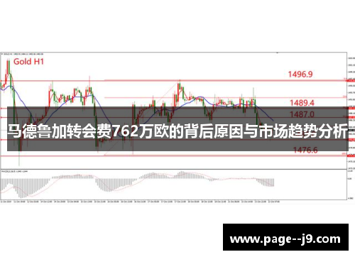 马德鲁加转会费762万欧的背后原因与市场趋势分析